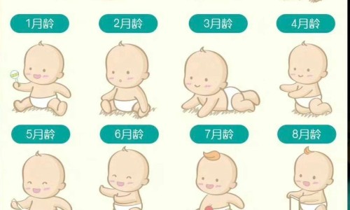婴儿总是抓耳朵-【婴儿抓耳朵是什么意思】婴儿抓耳朵哭闹头扭来扭去 - 婴儿总抓右耳朵网